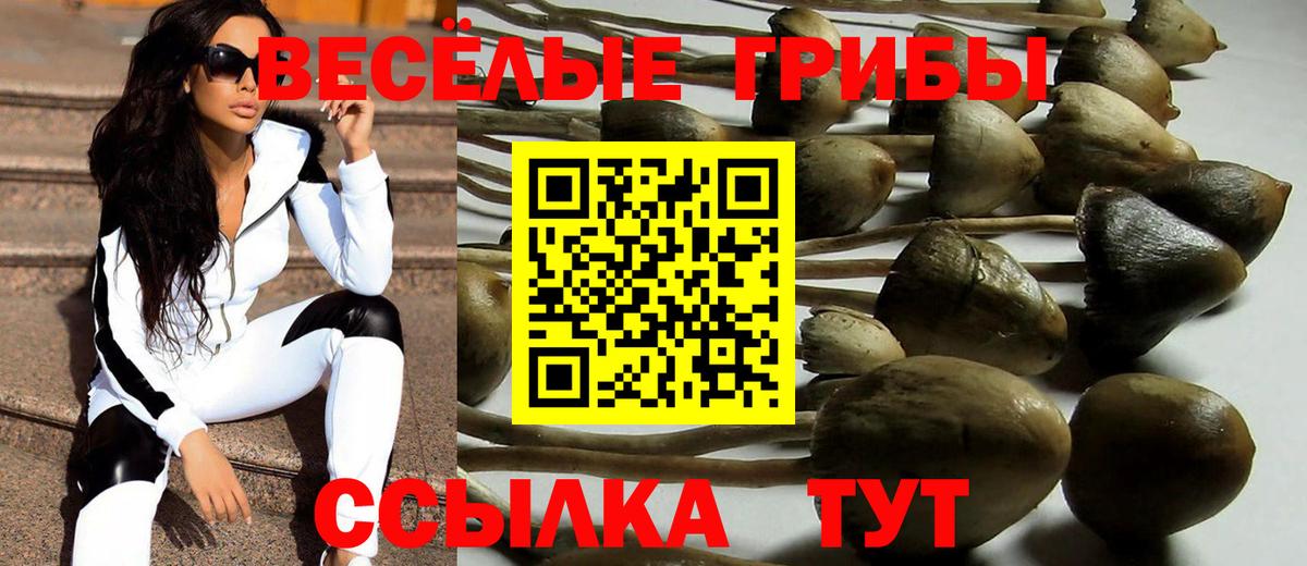 Бутурлиновка  Псилоцибиновые грибы MAGIC MUSHROOMS  Вход с VPN  Псилоцибиновые грибы мицелий 